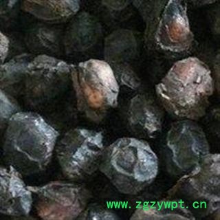 广枣 统 产地 广西壮族自治区北海市铁山港区图3