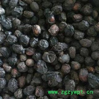 广枣 统 产地 广西壮族自治区北海市铁山港区图2