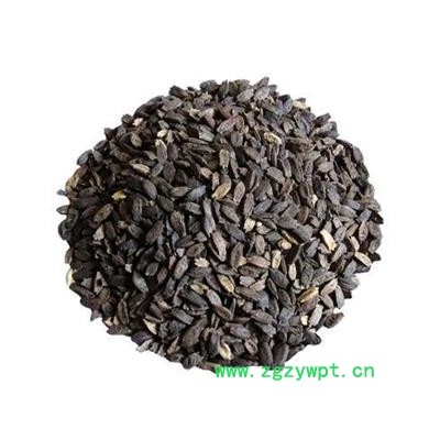 波棱瓜子 色吉美多 西藏产 野生