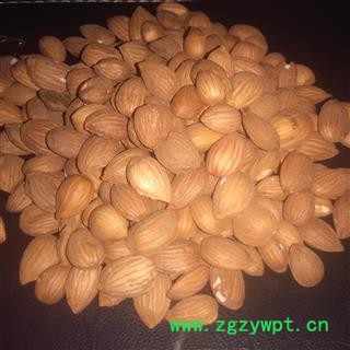 山桃仁  高含量 高品质 市场主流 刚到新货 15天 产地 山西省 产地 山西省图2