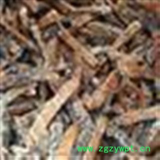 瓜蒌 统 产地 河北省图2