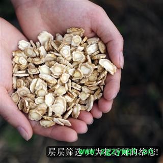 【新货】秦岭野生桔梗 手工切片 日晒500g另有桔梗根条 桔梗个子图4