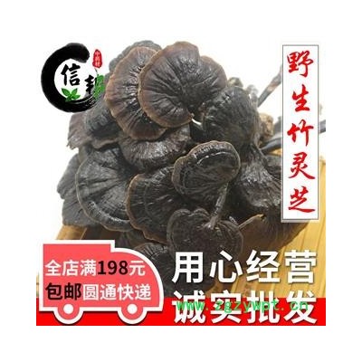 野生竹灵芝越南野生灵芝根根有叶散装精选货无硫紫灵芝专注品质，诚信信邦！