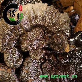 灵芝产地直销黑灵芝薄利多销产地直销专注品质,诚信信邦!图4