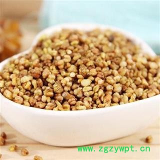 秦岭野生特级黄苦荞 金荞麦 手工分拣日晒无硫 可入药泡茶1000g图3