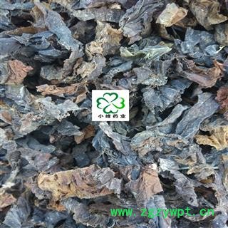 昆布 新货 统货 颜色好 纯干 产地 山东省图2