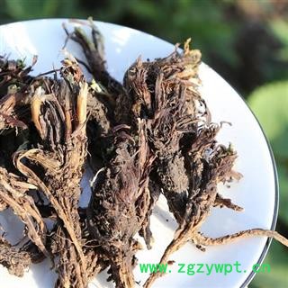 甘松 秦岭优质干松 手工挑选分拣 日晒500g图3