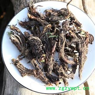 甘松 秦岭优质干松 手工挑选分拣 日晒500g图2