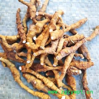 九节菖蒲 秦岭优质菖蒲 手工刨挖 水洗分拣 日晒无硫500g图2