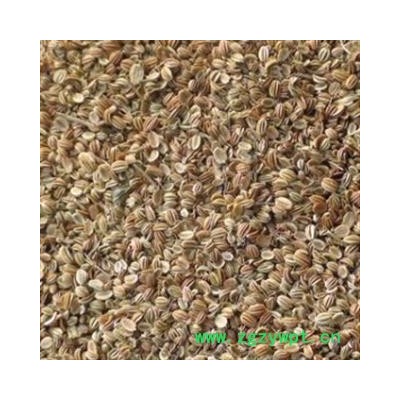 灵吉药业 蛇床子 大粒 正品 优质