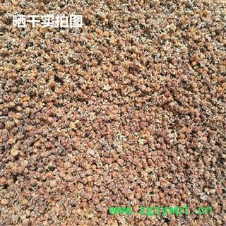 刺梨 统 产地 河南省南阳市南召县图3