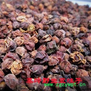 柞水颐和中药材批发 选装五味子 南五味子  华中五味子 选装五味子 产地直销 陕西商洛图2