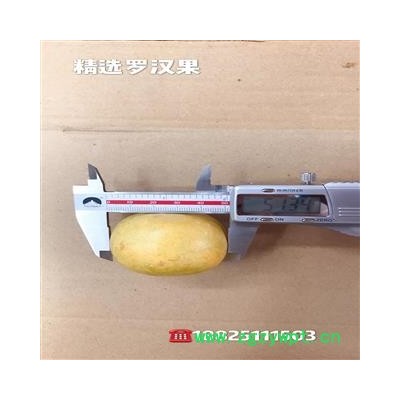 罗汉果，精选罗汉果，产地，广西壮族自治区桂林市永福县