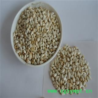 红花种子  四川省图3