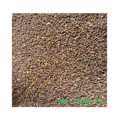 菟丝子 菟丝子水洗统货 产地 广西壮族自治区