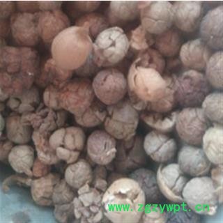 草豆蔻 云南草豆蔻统货 产地 云南省丽江市