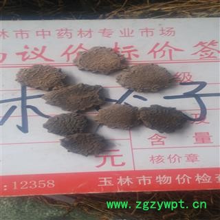 木鳖子 统 产地 广西壮族自治区贵港市平南县图2