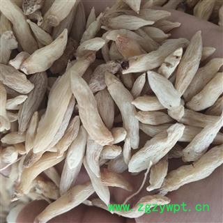 麦冬 统  今年新货  纯无硫大掉价 稍微有点红头  真厉害 产地 山东省图3