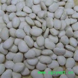 白扁豆 选 批发零售各种规格中药材 花茶 矿石图4
