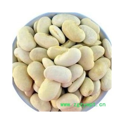 白扁豆 选 批发零售各种规格中药材 花茶 矿石