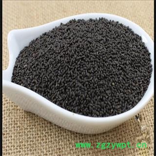 罗勒子 统 产地 江苏省  兰香子 精品大货图3