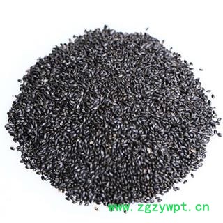 罗勒子 统 产地 江苏省  兰香子 精品大货图2