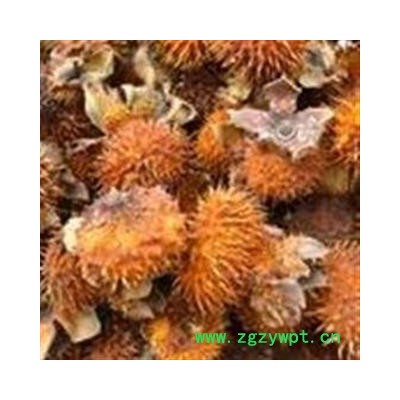 批发供应中药材刺梨(图) 泡茶