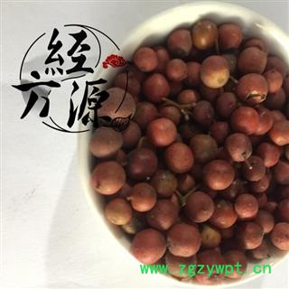 南天竹子B 天竺子 统 产地 江苏省图2