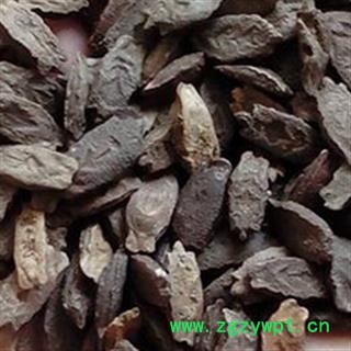 正品 野生 波棱瓜子 纯天然 色吉美多【藏语】 优质图2