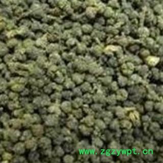 京辉药业 吴茱萸 正品新货 优质 促销 中花图3