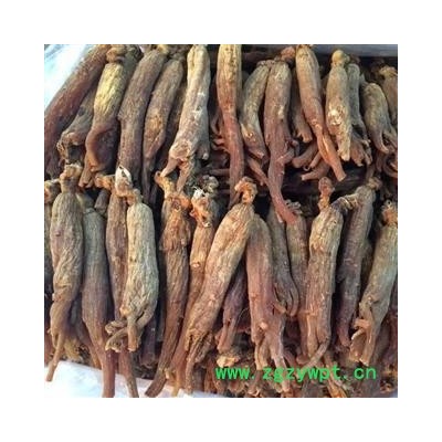 无糖红参个 包药检  红参纯无糖28支 新店开张低价促销冲销量 假一赔十产地 吉林省