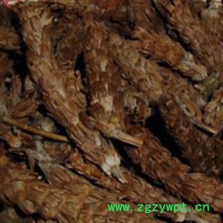 夏枯球 中药材批发 优质 促销图2