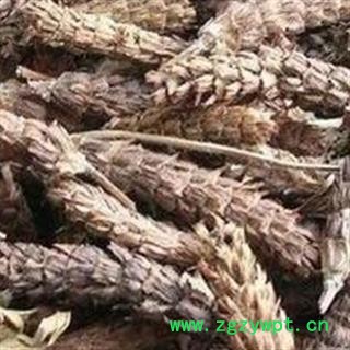 夏枯球 中药材批发 优质 促销图3