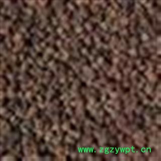 五味子 统 产地 山西省图2