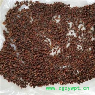 五味子 统 产地 山西省图3