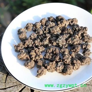 秦岭猫爪草 山民自刨 手工分拣 日晒干净500g图3