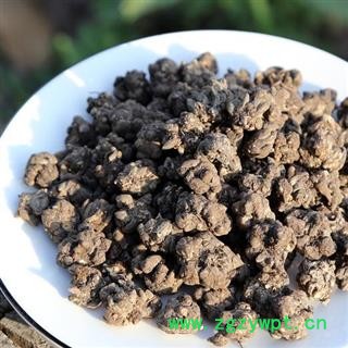 秦岭猫爪草 山民自刨 手工分拣 日晒干净500g图2