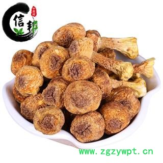 松茸野生松茸正品优质批发零售一公斤起售专注品质,诚信信邦!图4