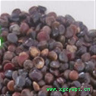 灵吉药业  枳椇子  别名 拐枣 地道药材图3