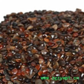 灵吉药业  枳椇子  别名 拐枣 地道药材图2