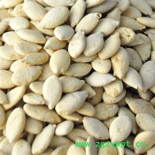 灵吉药业  冬瓜子 单边冬瓜子  统货 道地药材 货真价实图4