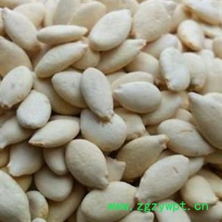 灵吉药业  冬瓜子 单边冬瓜子  统货 道地药材 货真价实图2