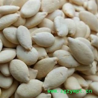 灵吉药业  冬瓜子 单边冬瓜子  统货 道地药材 货真价实图3