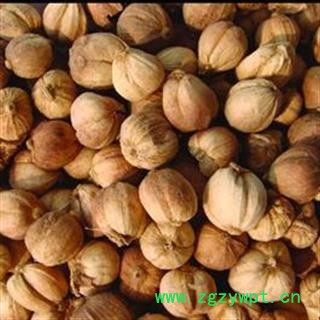 白豆蔻 白豆蔻统货 产地 广西壮族自治区图2