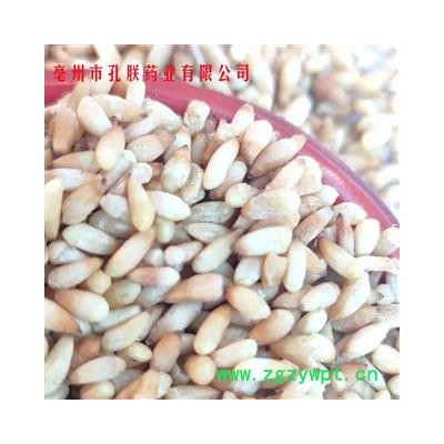 批发柏子仁批发中药材