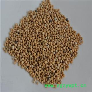 白芥子 统 产地 四川省图2