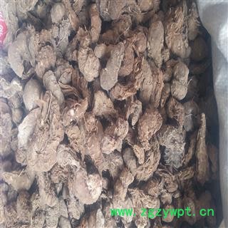 水田七 统货 产地 广西壮族自治区梧州市市辖区图2