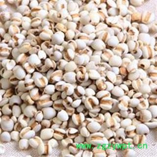薏苡仁 选 95 产地 贵州省遵义市余庆县图2