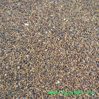 菟丝子，小菟丝子，过风车统货 ，质量正品，产地 宁夏回族自治区图3