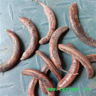 猪牙皂 人工手选 产地 山东省济宁市梁山县图3